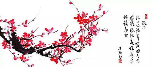 關(guān)于寫(xiě)梅花的詩(shī)句有哪些?,關(guān)于寫(xiě)梅花的詩(shī)句有哪些還有作者,寫(xiě)梅花的詩(shī)句有哪些