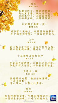 關(guān)于二十四節秋風(fēng)的詩(shī)句