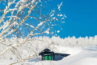 古詩(shī)詞詠雪的詩(shī)句詩(shī)句