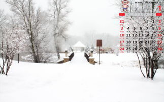 諺語(yǔ),詩(shī)句,于雪