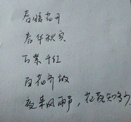 古詩(shī)句字詞賞析