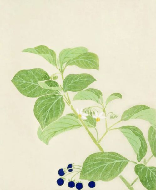 古詩(shī),詩(shī)句,植物