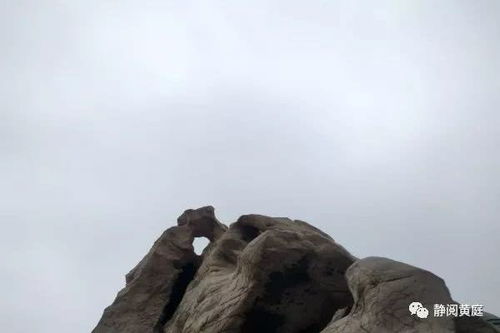 描寫(xiě)詠雪的古詩(shī)句岑參