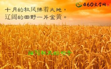 關(guān)于描寫(xiě)大地的古詩(shī)句