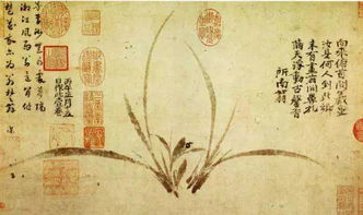 關(guān)于蘭的經(jīng)典詩(shī)句
