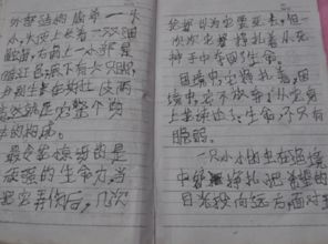 古詩(shī)中描寫(xiě)蟲(chóng)的詩(shī)句