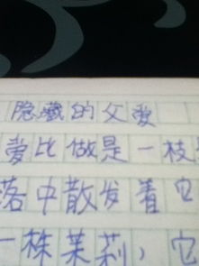 父愛(ài)作文600字敘事文開(kāi)頭