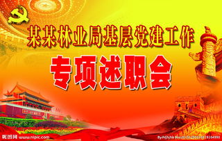 抓黨建專項述職報告,黨建述職報告范文(抓黨建專項述職報告范文)