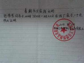 暑期船廠(chǎng)實(shí)踐報告(個(gè)人暑期實(shí)踐報告)