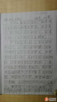 小學(xué)三級怎么開(kāi)頭寫(xiě)作文