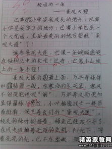 觸摸記敘作文開(kāi)頭