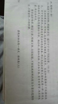十五，十六作文800字(十五月亮十六圓 )