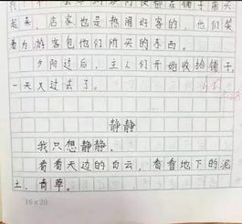 變形計作文六級開(kāi)頭