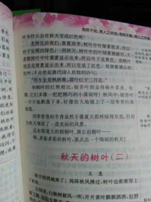 寫(xiě)秋天樹(shù)葉優(yōu)美的作文開(kāi)頭