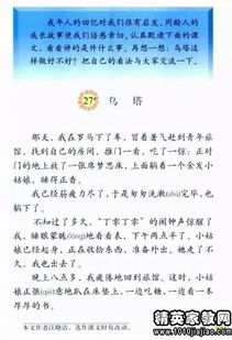 關(guān)于小學(xué)調查報告范文(小學(xué)關(guān)于近視調查報告)