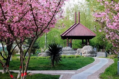 寫(xiě)公園作文的開(kāi)頭200字