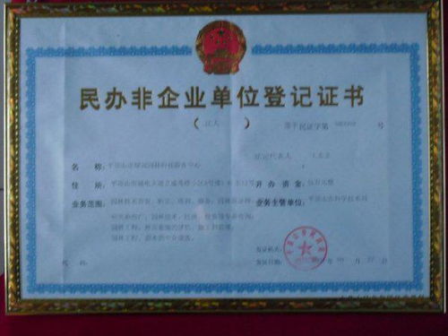 民辦非企業(yè)幼兒園年檢工作報告(民辦非企業(yè)幼兒園年檢工作報告)