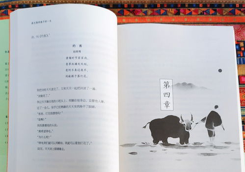 感受詩(shī)詞之美作文800字,感受詩(shī)詞之美作文小標題,感受詩(shī)詞的美好作文