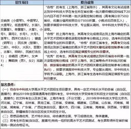 舞蹈培訓學(xué)校年度工作總結范文(舞蹈培訓學(xué)校年度工作總結)