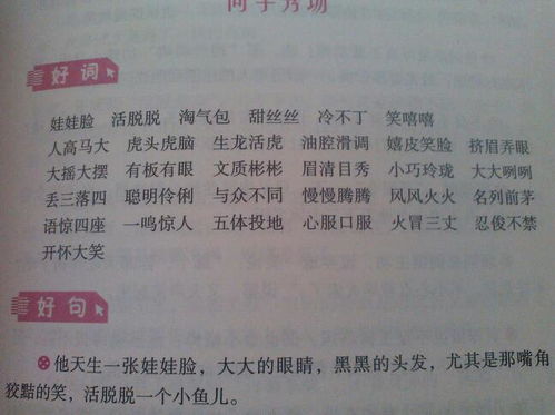 校園的小伙伴作文開(kāi)頭結(jié)尾怎么寫