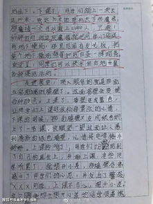 關(guān)于同的作文開(kāi)頭