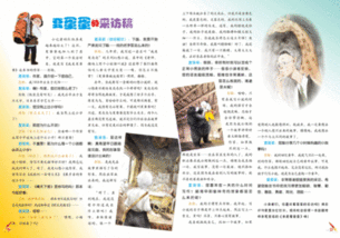 采訪(fǎng)老師的采訪(fǎng)稿范文(采訪(fǎng)老師的采訪(fǎng)稿范文)