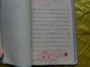 大學(xué)生入黨黨支部政審意見(jiàn)(黨支部政審意見(jiàn))