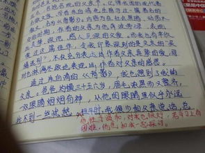 雨中的父親作文開(kāi)頭100字