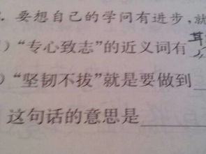堅韌不拔的作文開(kāi)頭怎么寫(xiě)