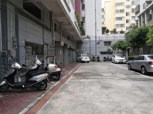 關(guān)于小區車(chē)輛停放的通告(關(guān)于小區車(chē)輛停放的通告)