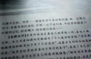 求誤會(huì )作文開(kāi)頭
