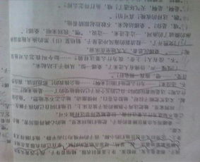 以談歷史開(kāi)頭的作文開(kāi)頭