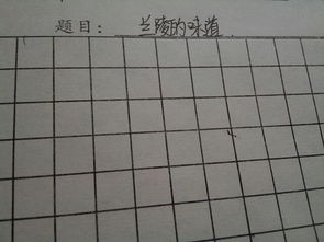 滋味作文300字開(kāi)頭