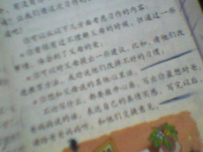 有關(guān)父母愛(ài)的作文的開(kāi)頭