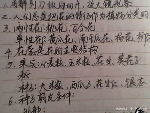 我和什么什么的同學(xué)的作文600字作文開(kāi)頭