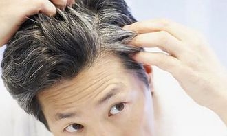 幫媽媽拔白頭發(fā)的作文500字的開(kāi)頭