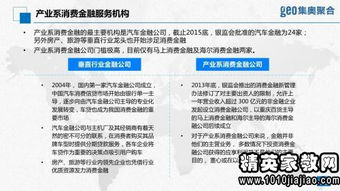 金融租賃公司項目調查報告范文(金融租賃公司典型項目調查報告)