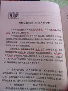 和家人散步的作文600字作文開(kāi)頭