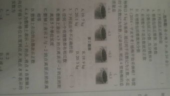 作文家鄉的秋天開(kāi)頭怎么寫(xiě)