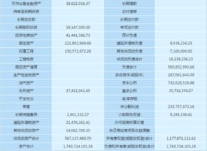 項目財務(wù)分析報告(技改項目財務(wù)分析報告)