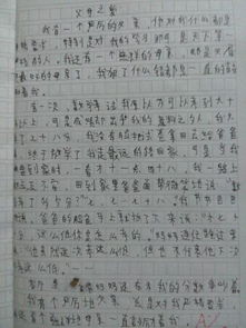 作文父愛(ài)母愛(ài)的開(kāi)頭和結尾