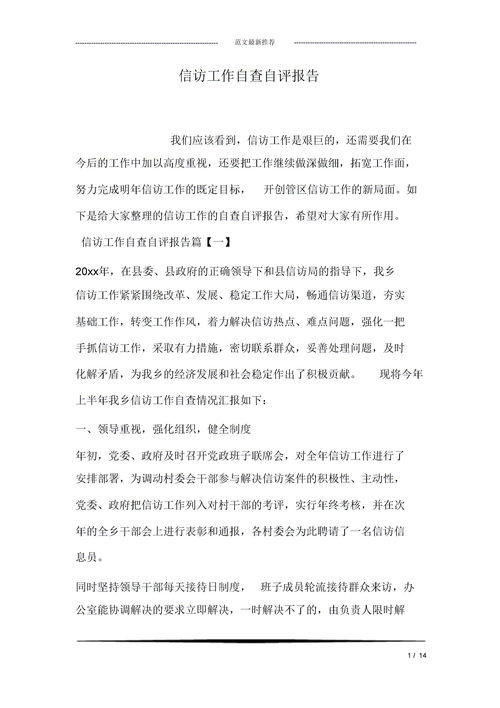 工作自查自評報告()