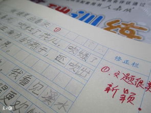 作文開(kāi)頭可以用歌詞嗎