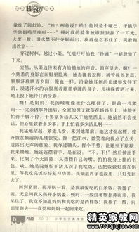 學(xué)校運動會的場面的作文開頭