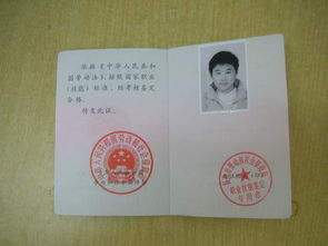 施工員實(shí)習生實(shí)習報告范文推薦()