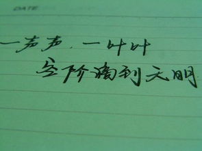 不想再見(jiàn)作文開(kāi)頭