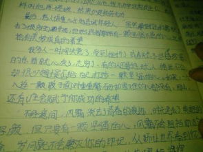 關(guān)于爸爸錯了的作文1000字作文開(kāi)頭