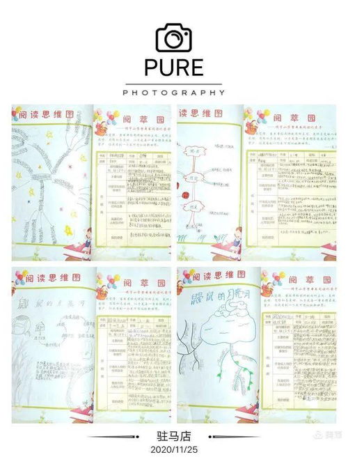 文明活動(dòng)作文600字作文開(kāi)頭怎么寫(xiě)