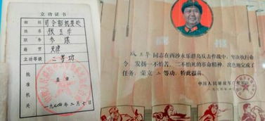 機要工作總結(機要的近義詞)