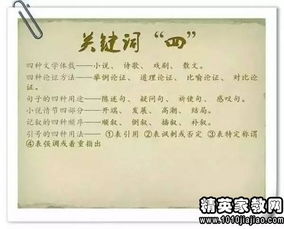 初三語(yǔ)文優(yōu)秀教師述職報告(高中語(yǔ)文優(yōu)秀教師述職報告（精選）)